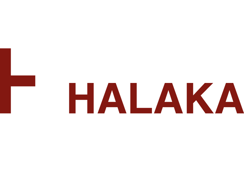 Bassam HALAKA